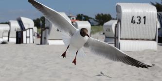 Wir sind wieder online!